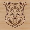 Happy Aussie Dog Head Illustration An illustration of a happy Australian Shepherd dog's head with a distinctive coat pattern.