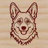 Regal Corgi Breed Portrait A regal-looking corgi breed with its characteristic head shape and floppy ears.