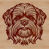 Vector graphic of a Shih Tzu breed of dog.