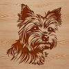 Small Dog Breed Head Study in Vector Format A detailed illustration of a small dog breed, specifically a Yorkshire terrier's head, with clear facial features.
