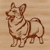 Illustration of a standing Welsh Corgi, a popular breed of dog.