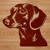 Detailed Dachshund Head and Face Design A detailed illustration of a Dachshund's head and face.
