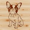 Sitting Boston Terrier Illustration A Boston Terrier sitting on a background with subtle texture.