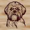 Adorable Shih Tzu Face Graphic Design A vector graphic representation of a small dog breed commonly kept as pets.