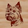 Wiry Coat Dog Breed Illustration A small breed dog with a distinctive head shape and wiry coat.