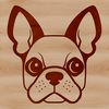 Simple Drawing of a Cute Pet's Face A simple line drawing illustration of a Boston Terrier's head.