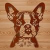 Friendly Face Boston Terrier Clip Art A high-quality vector illustration of a friendly-looking Boston Terrier dog.