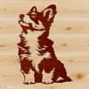 Fluffy Welsh Companion Dog Breed Portrait A sitting Welsh Corgi breed dog with short legs and fluffy coat.