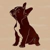 Boston Terrier sitting on a floor, vector illustration.