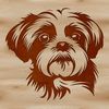 A small dog with a long, flowing coat and a friendly expression.
