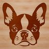 Free SVG Boston Terrier Clip Art An SVG design featuring a detailed portrait of a Boston Terrier breed.
