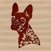A stylized vector illustration of a Boston Terrier's head, suitable for various design applications.
