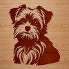 Cute Morkie Sitting on Its Hind Legs SVG A cute small dog breed sitting on its hind legs.