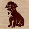 A sitting Boxer dog with a calm expression, suitable as a vector graphic for various digital designs.