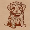 A small breed dog with long, curly fur sitting on its hind legs.