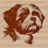 Shih Tzu Dog Head Illustration A detailed illustration of a Shih Tzu's head, with a calm expression.