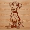 Cute Dog Breed Vector Art A high-quality vector illustration of a sitting Doberman Pinscher breed dog.