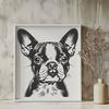 Free Vector Clip Art Pet Image A vector illustration of a Boston Terrier's head, suitable for personal or commercial use in graphic design projects.