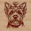 Yorkshire Terrier Breed Dog Illustration A small breed dog with a compact body and short legs, identified as a Yorkshire Terrier.