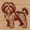 Cute Standing Havanese Dog Breed A small-sized, standing Havanese dog breed with a friendly expression.
