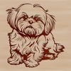 A sitting Shih Tzu dog with fluffy fur, ideal for use as clip art in various design projects.