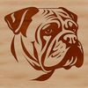 A detailed illustration of a bulldog's head with wrinkled skin and flat face.