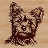 A detailed illustration of a small dog with a distinctive head shape and features.