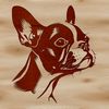 Adorable Boston Terrier Clip Art A vector illustration of a Boston Terrier's head with detailed facial features.