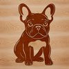 A sitting French Bulldog breed dog in vector art form.