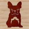 French Bulldog Breed Profile A small breed dog with a flat face and wrinkled skin, sitting on its haunches.