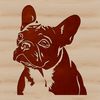 Small Breed Dog Face Illustration A small breed dog with a flat face and bat ears, shown from the front.