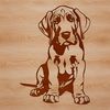 Large Breeds Made Easy with Vector Art A large breed dog, the Great Dane, sitting on its haunches in a relaxed pose.