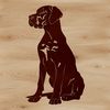 Beautiful Great Dane Breed Illustration A detailed illustration of a Great Dane breed dog sitting on its hind legs.