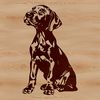 A large breed dog with a distinctive appearance, shown in a sitting position.