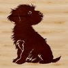 A Havanese dog breed sitting on a surface with a calm expression.
