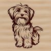 Illustration of a small breed dog with a curly coat, sitting upright.