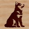 A sitting dog breed with thick fur, commonly kept as a pet.