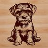 Sitting Pretty Miniature Schnauzer Design A detailed illustration of a Miniature Schnauzer breed dog sitting.