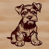 Friendly Face of the Miniature Schnauzer Breed Portrait of a small breed dog with a bushy beard, characteristic of the Miniature Schnauzer breed.