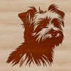 Small mixed-breed dog with a Morkie face in a simplified vector design.