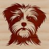 Friendly Morkie Silhouette An SVG graphic of a friendly Morkie with its head held high.