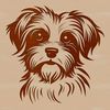 Morkie Breed Portrait Illustration Small breed dog illustration featuring a Morkie's head with detailed facial features.