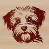 A small Morkie dog's head with features suitable for vector design, making it ideal for various digital applications.