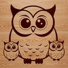 Owl Face Illustration A close-up illustration of an owl's face with large round eyes and a soft feathered appearance.