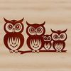 Cuddly Bird Vector Art A cute owl illustration in a digital vector format.