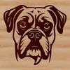 Cute Boxer Head Illustration A close-up illustration of a Boxer dog's head.