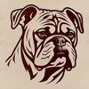 Cute Bulldog Face Vector Art An illustration of a bulldog's head, suitable for vector art projects.