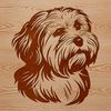 Beautiful Havanese Breed Vector Art A vector illustration of a Havanese dog's head in a realistic style.