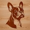 A detailed digital illustration of a Boston Terrier's head, suitable for vector art and cutting machine designs.