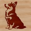 A small to medium-sized dog with a thick coat and erect ears, sitting on its hind legs.